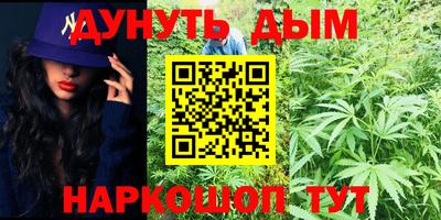 крисы Белореченск