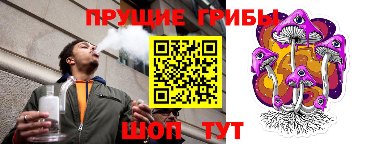 купить   Вход с VPN  Псилоцибиновые грибы Cubensis  Аша  Псилоцибиновые грибы мухоморы 