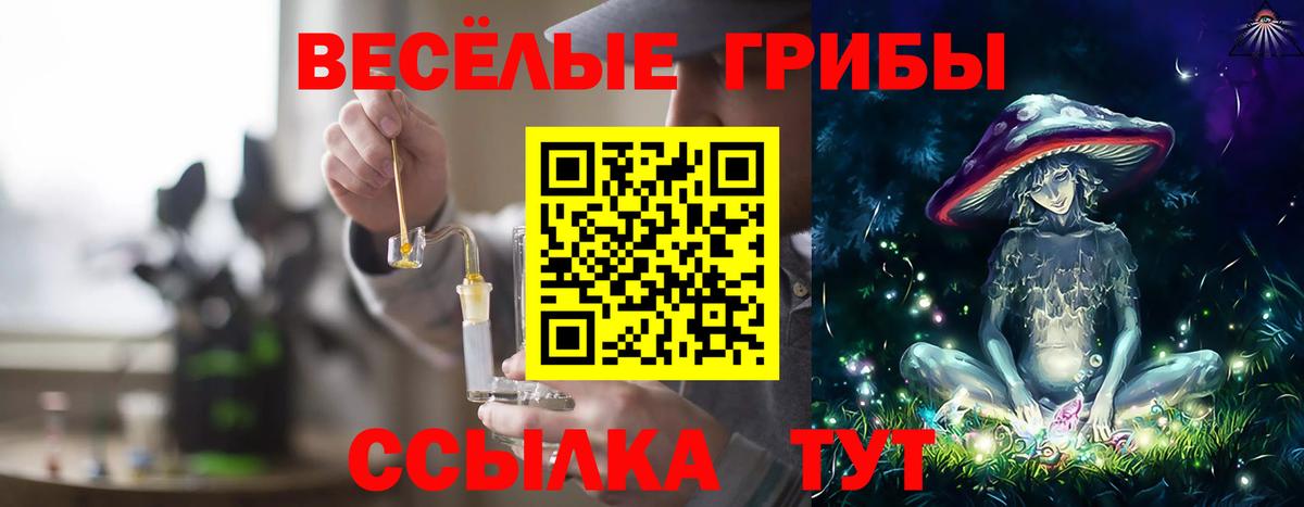 Галлюциногенные грибы Cubensis Аша